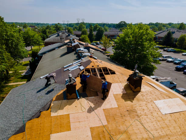 24/7 Emergency Roof Repair experts in Forest Falls, CA